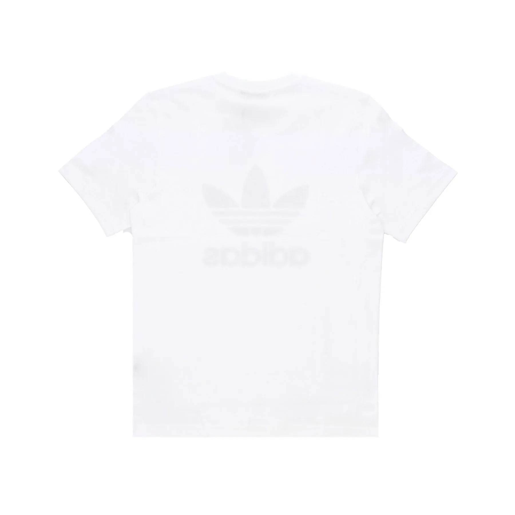 Maglietta Uomo Trefoil Tee White/semi Pulse Lilac