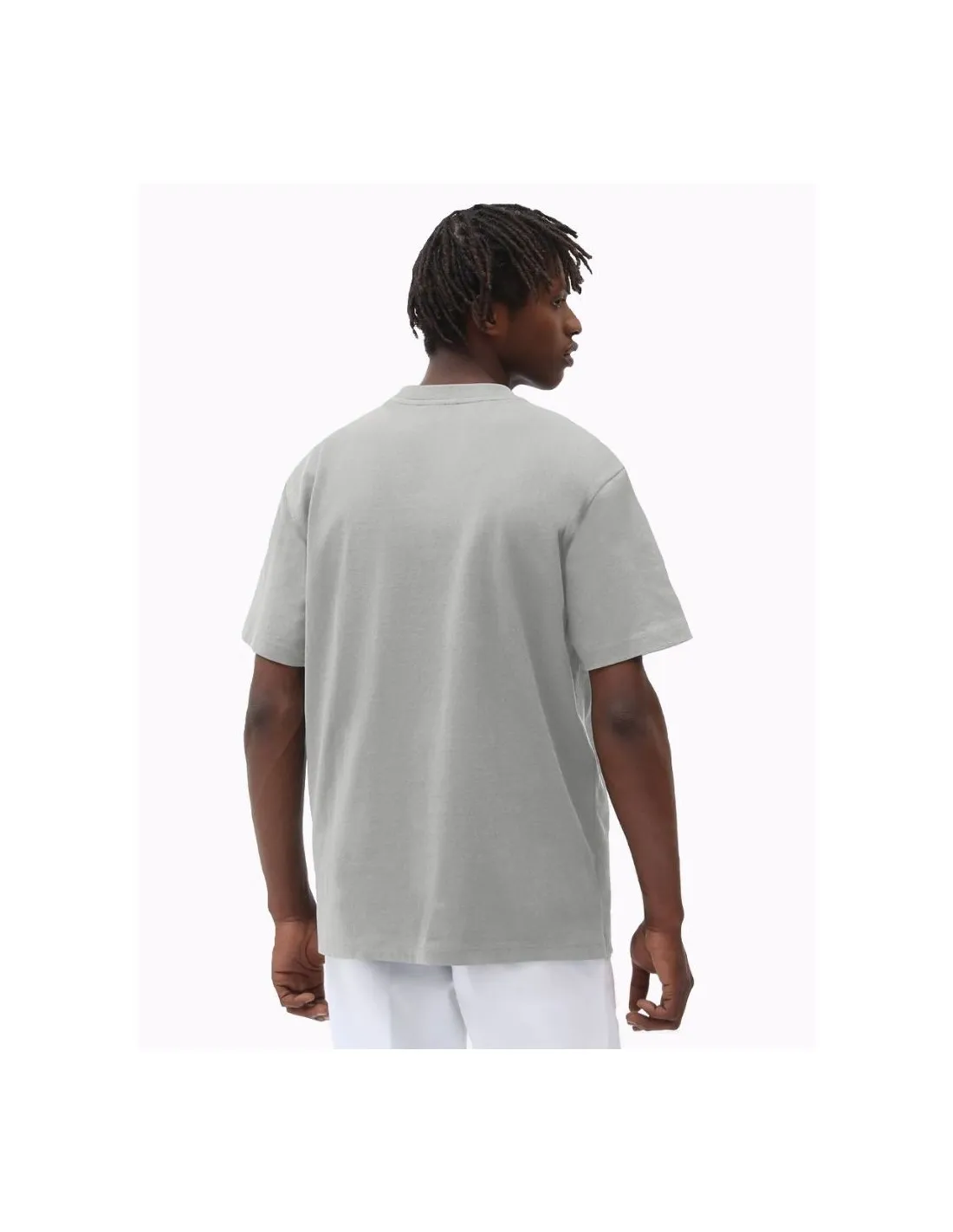 T-shirt Dickies Loretto grigio melange